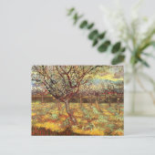 Carte Postale Arbres abricot en fleurs par Vincent van Gogh (Debout devant)