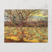 Carte Postale Arbres abricot en fleurs par Vincent van Gogh (Devant)