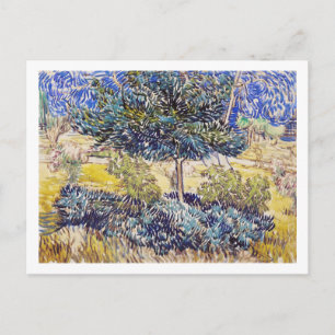 Carte Postale Arbres Arbustes Asile Jardin Vincent Van Gogh