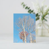 Carte Postale Arbres arren (Debout devant)
