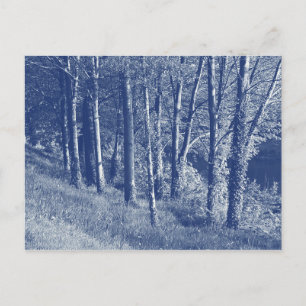 Carte Postale Arbres au bord d'une rivière - Effet cyanotype