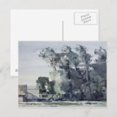 Carte Postale Arbres - Aube (Devant / Derrière)