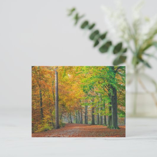 Carte Postale Arbres avec feuillage d'automne dans une forêt (Debout devant)