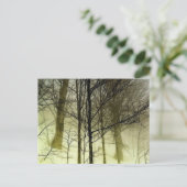 Carte Postale Arbres couverts de neige (Debout devant)
