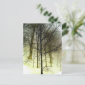 Carte Postale Arbres couverts de neige (Debout devant)
