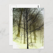 Carte Postale Arbres couverts de neige (Devant / Derrière)