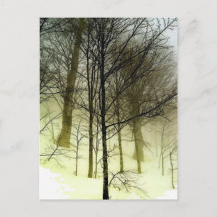 Carte Postale Arbres couverts de neige