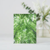 Carte Postale Arbres dans une forêt de la vue inférieure (Debout devant)