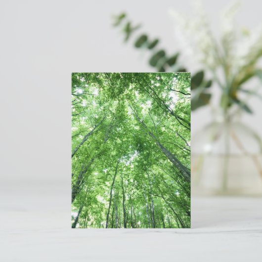 Carte Postale Arbres dans une forêt de la vue inférieure (Debout devant)