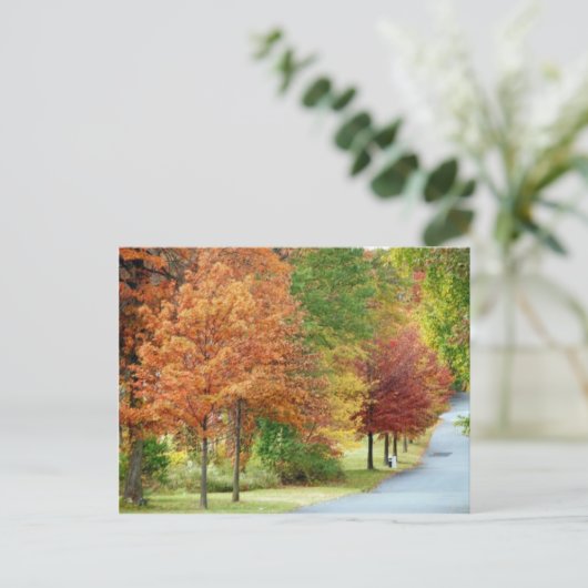 Carte Postale Arbres d'automne (Debout devant)