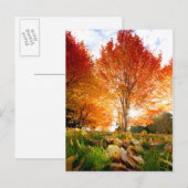 Carte Postale Arbres d'automne (Devant / Derrière)
