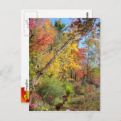 Carte Postale Arbres d'automne (Devant / Derrière)