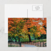 Carte Postale Arbres d'automne à Central Park Photo (Devant / Derrière)