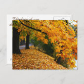 Carte Postale Arbres d'automne dorés (Devant / Derrière)