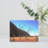 Carte Postale Arbres d'Ayers Rock (Debout devant)
