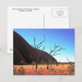 Carte Postale Arbres d'Ayers Rock (Devant / Derrière)