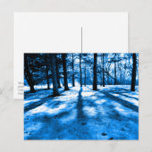 Carte Postale Arbres de la Forêt Bleue Ombres et lumière (Devant / Derrière)