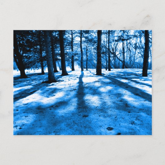 Carte Postale Arbres de la Forêt Bleue Ombres et lumière (Devant)