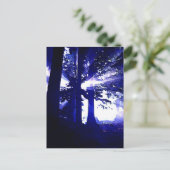 Carte Postale Arbres de nuit bleus (Debout devant)