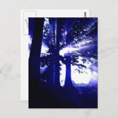 Carte Postale Arbres de nuit bleus (Devant / Derrière)