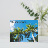 Carte Postale Arbres des Caraïbes (Debout devant)