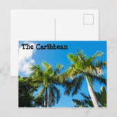 Carte Postale Arbres des Caraïbes (Devant / Derrière)