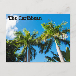 Carte Postale Arbres des Caraïbes