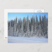 Carte Postale Arbres d'hiver (Devant / Derrière)