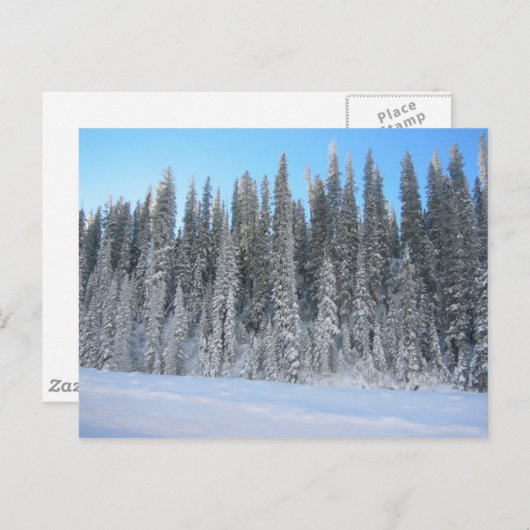 Carte Postale Arbres d'hiver (Devant / Derrière)