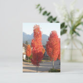 Carte Postale Arbres d'Orange en automne (Debout devant)