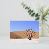 Carte Postale Arbres du désert (Debout devant)