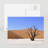 Carte Postale Arbres du désert (Devant / Derrière)