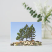 Carte Postale Arbres en haut (Debout devant)