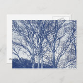 Carte Postale Arbres en hiver - Effet Cyanotype (Devant / Derrière)