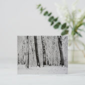 Carte Postale Arbres enneigés en hiver - - (Debout devant)