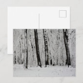 Carte Postale Arbres enneigés en hiver - - (Devant / Derrière)