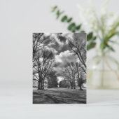 Carte Postale Arbres et nuages (Debout devant)