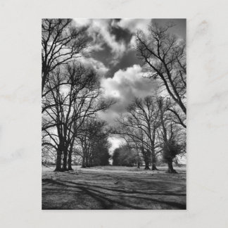 Carte Postale Arbres et nuages