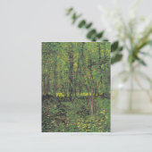 Carte Postale Arbres et sous-bois par Van Gogh (Debout devant)