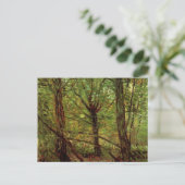 Carte Postale Arbres et sous-bois par Vincent van Gogh (Debout devant)