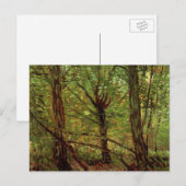 Carte Postale Arbres et sous-bois par Vincent van Gogh (Devant / Derrière)