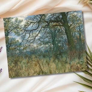 Carte Postale Arbres et sous-bois - William Fraser Garden