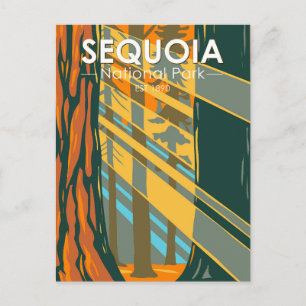 Carte Postale Arbres géants du parc national de Sequoia