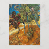 Carte Postale Arbres Jardin Asile Vincent van Gogh (Devant)