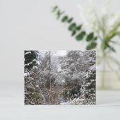 Carte Postale Arbres neigeux plats (Debout devant)