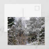 Carte Postale Arbres neigeux plats (Devant / Derrière)