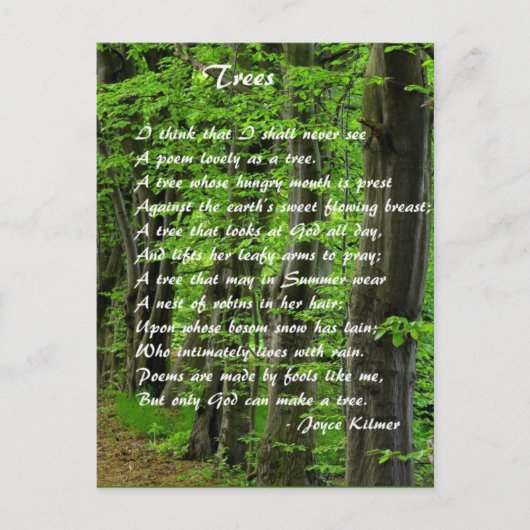 Carte Postale Arbres par : Joyce Klimer (Devant)