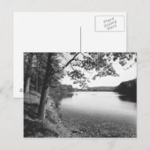 Carte Postale Arbres par rivière B&W (Devant / Derrière)