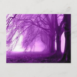 Carte Postale arbres pourpres