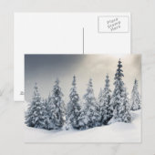 Carte Postale Arbres Recouverts De Hoarfrost Et De Neige (Devant / Derrière)